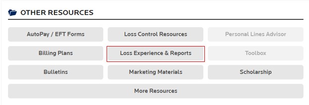 Screenshot of Other Resources section with a red box around the Loss Experience & Reports button in the center of the image